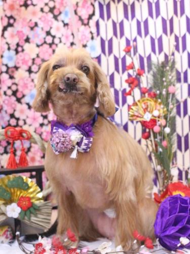 20250130紋之助くん